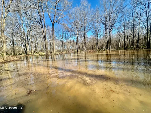 $185,000 | 12 Highway 12, Belzoni, MS 39038