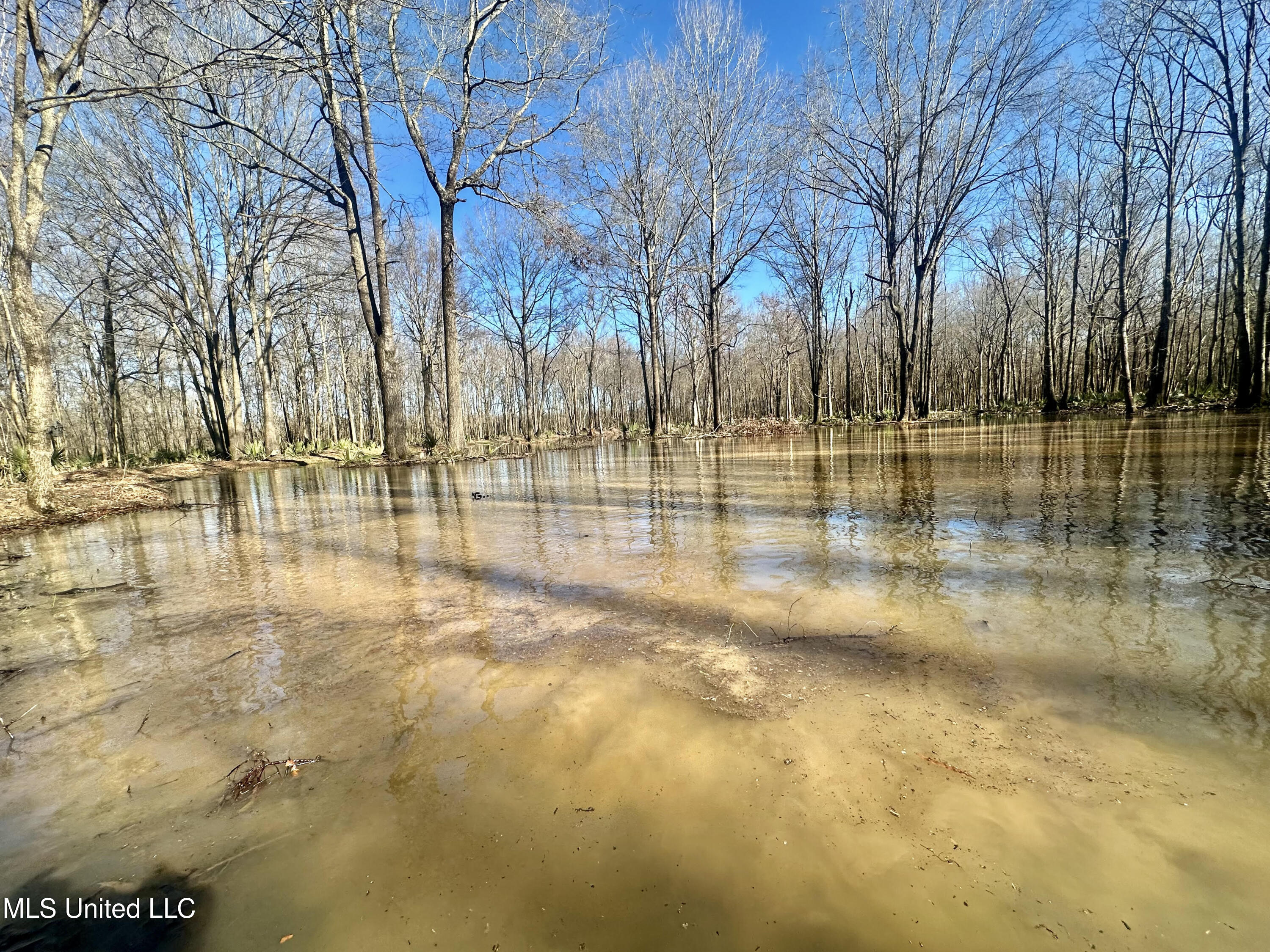 12 Highway 12 Belzoni, MS 39038 - Photo 22 of 31 p11