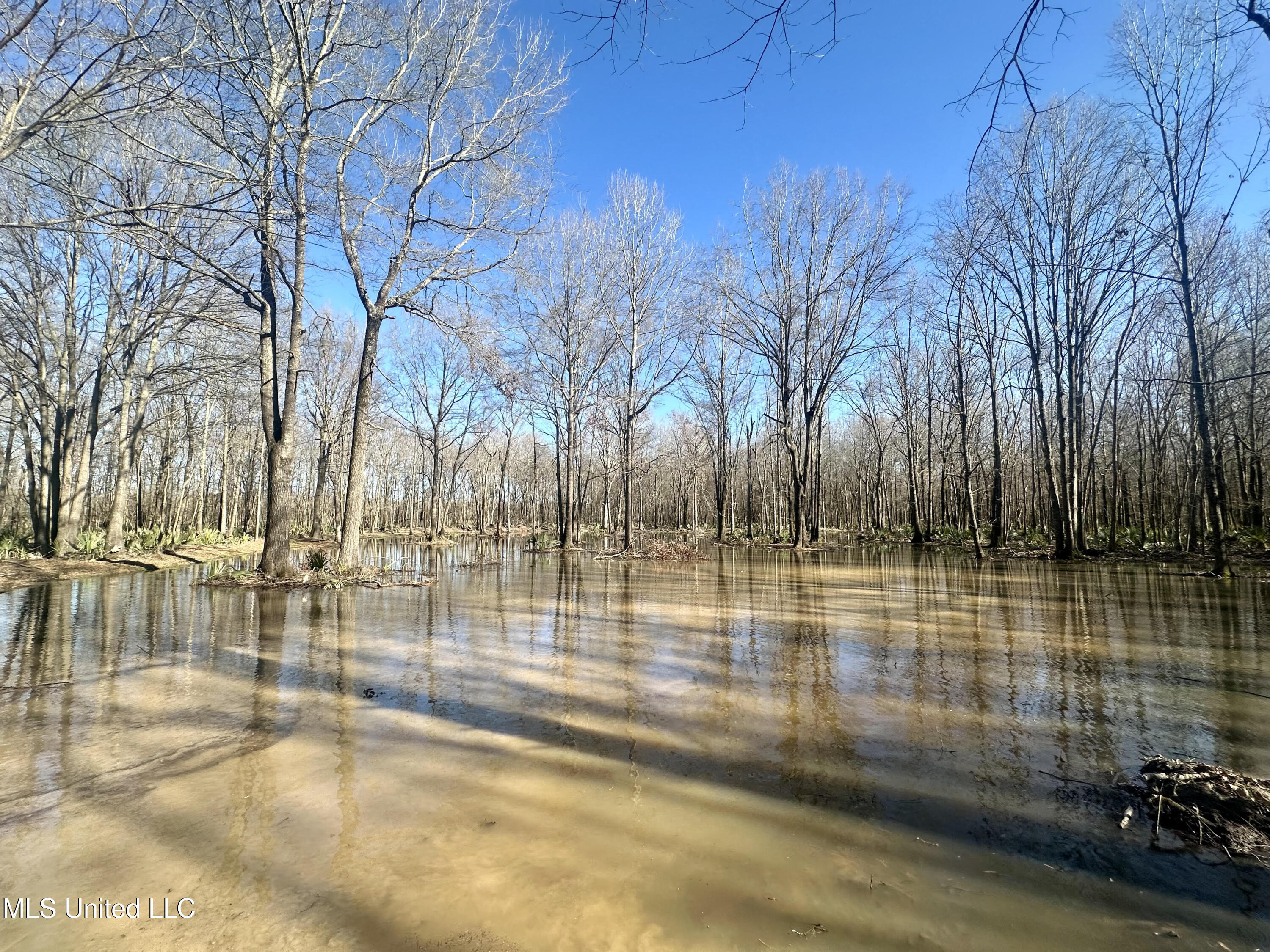 12 Highway 12 Belzoni, MS 39038 - Photo 23 of 31 p12