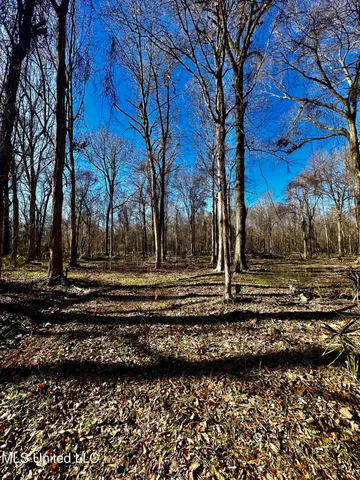 $185,000 | 12 Highway 12, Belzoni, MS 39038