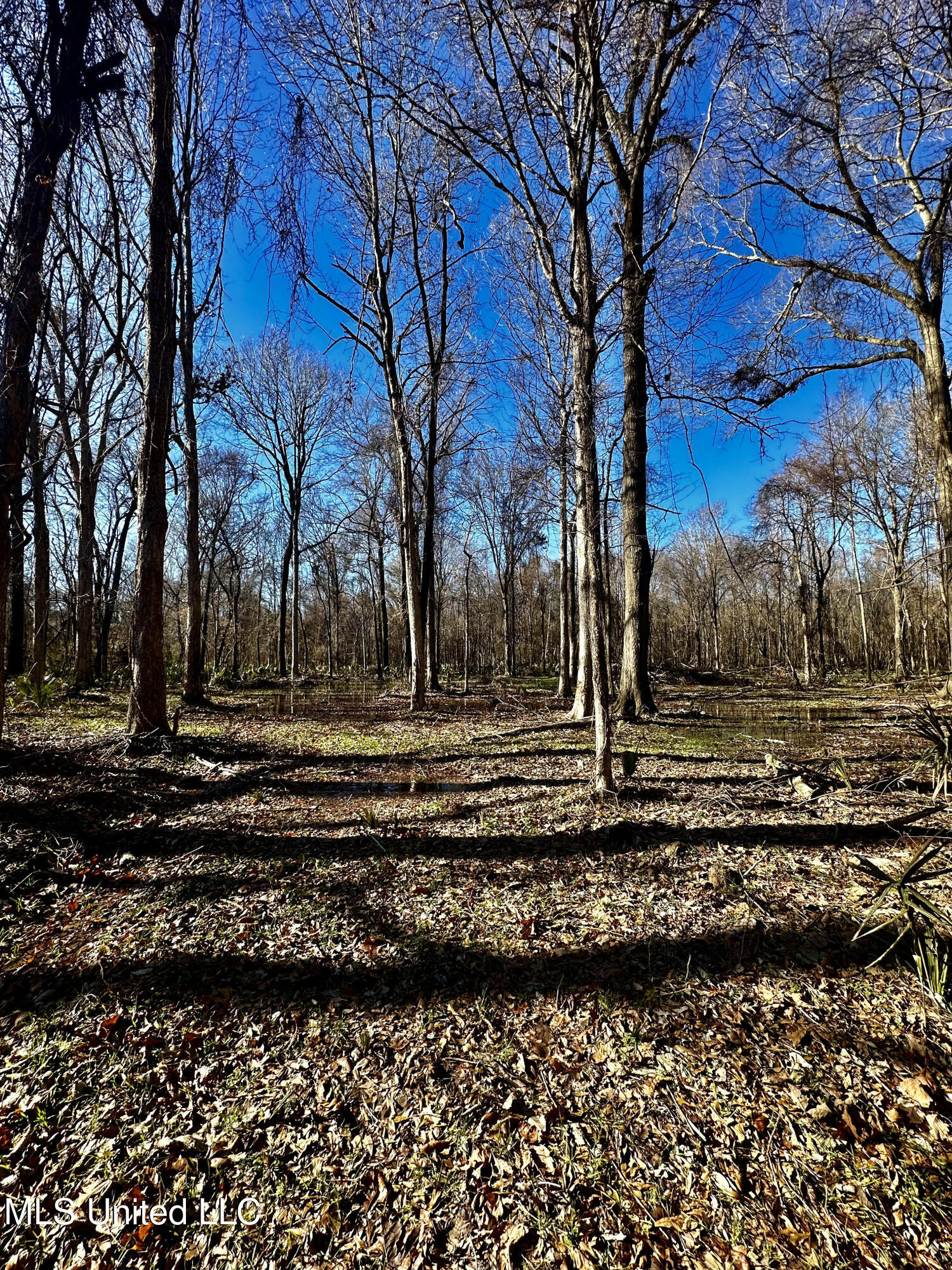 12 Highway 12 Belzoni, MS 39038 - Photo 26 of 31 p14