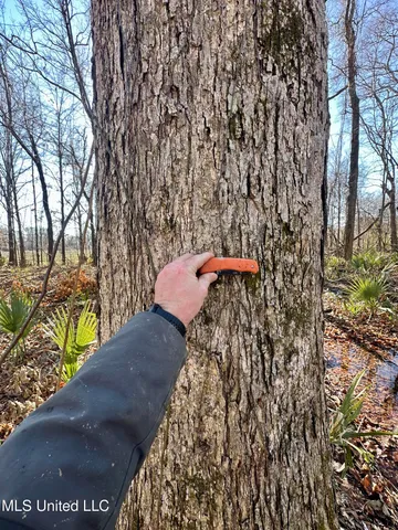 $185,000 | 12 Highway 12, Belzoni, MS 39038