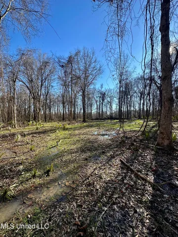 $185,000 | 12 Highway 12, Belzoni, MS 39038