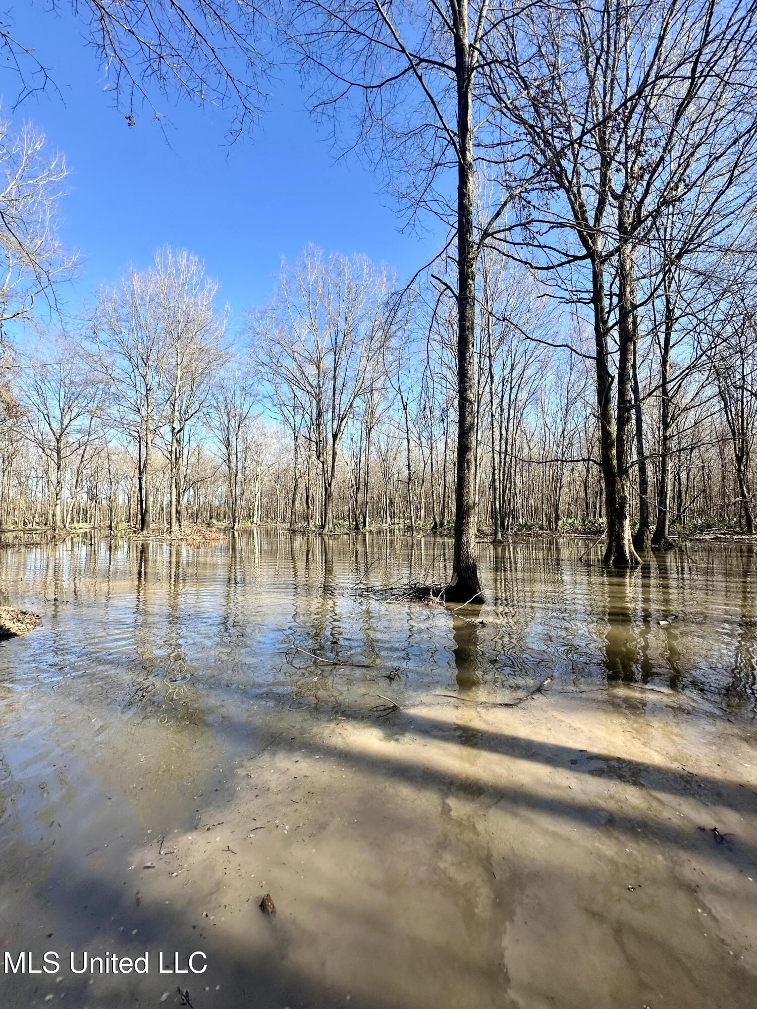 12 Highway 12 Belzoni, MS 39038 - Photo 29 of 31 p17