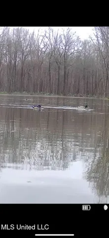 $185,000 | 12 Highway 12, Belzoni, MS 39038