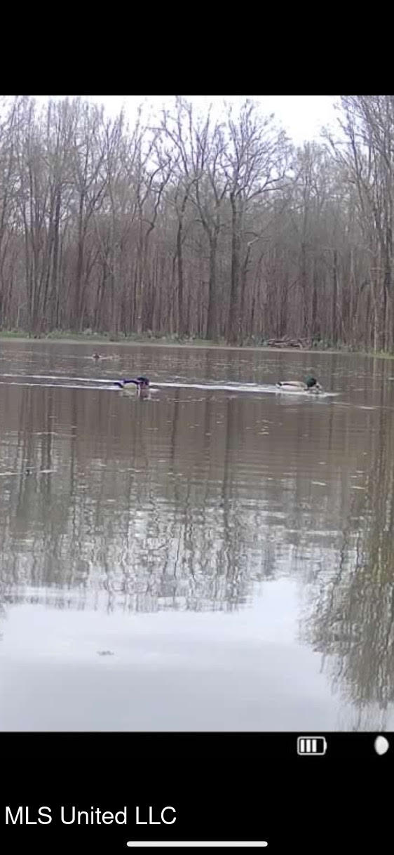 12 Highway 12 Belzoni, MS 39038 - Photo 3 of 31 p5