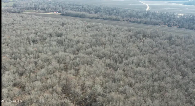 $185,000 | 12 Highway 12, Belzoni, MS 39038