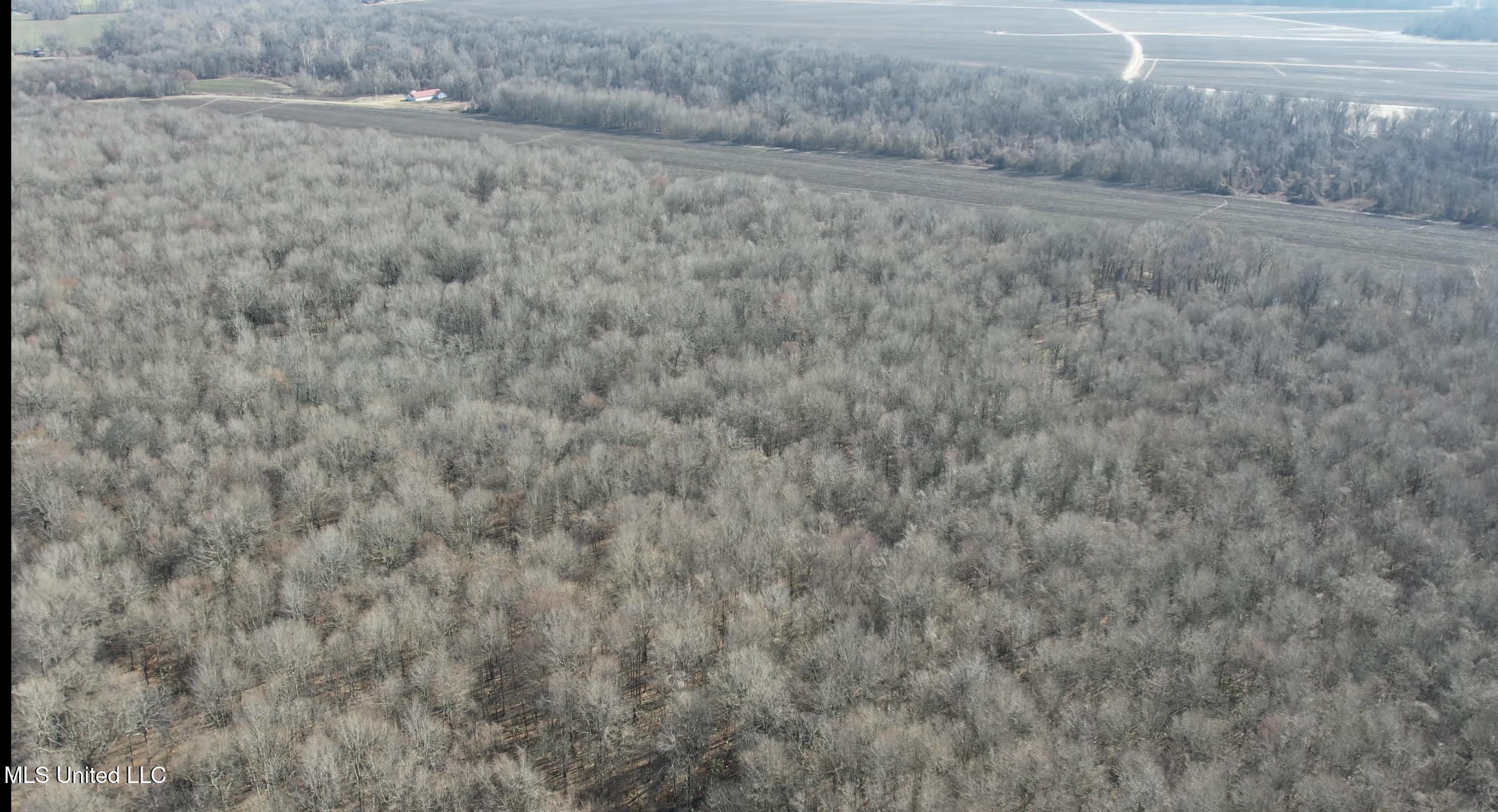 12 Highway 12 Belzoni, MS 39038 - Photo 31 of 31 p19