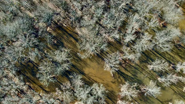 $185,000 | 12 Highway 12, Belzoni, MS 39038