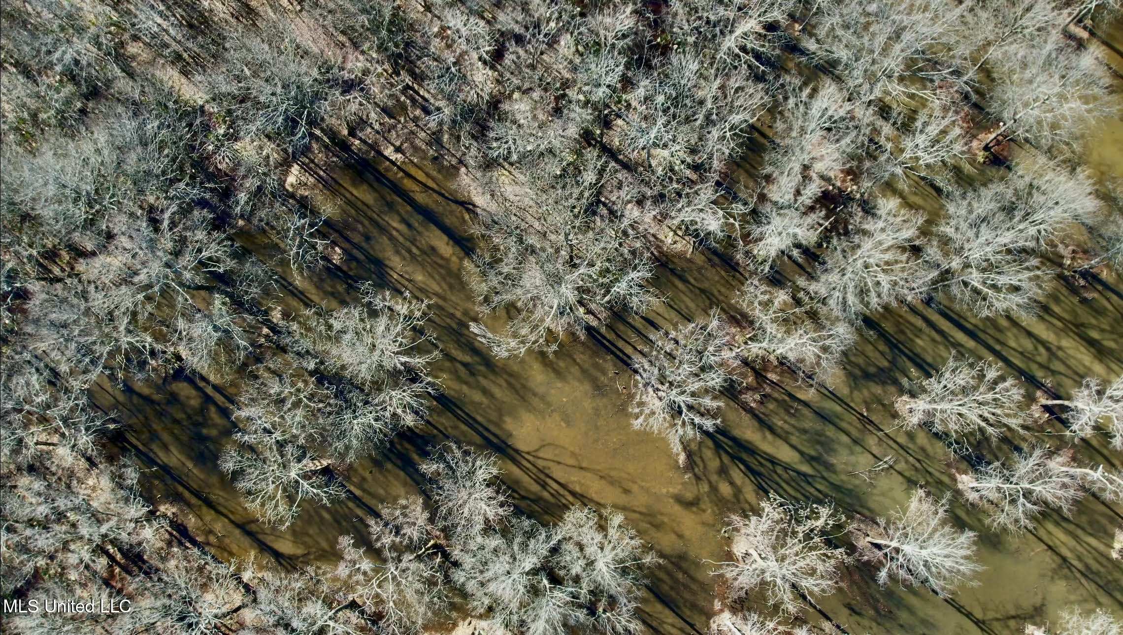 12 Highway 12 Belzoni, MS 39038 - Photo 5 of 31 p22