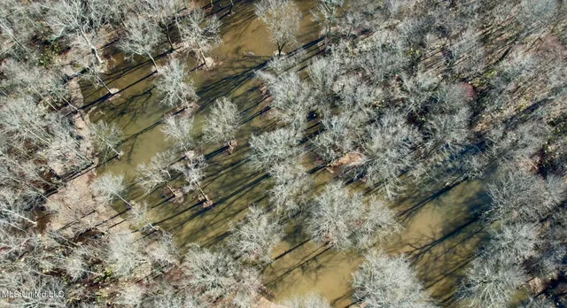 $185,000 | 12 Highway 12, Belzoni, MS 39038