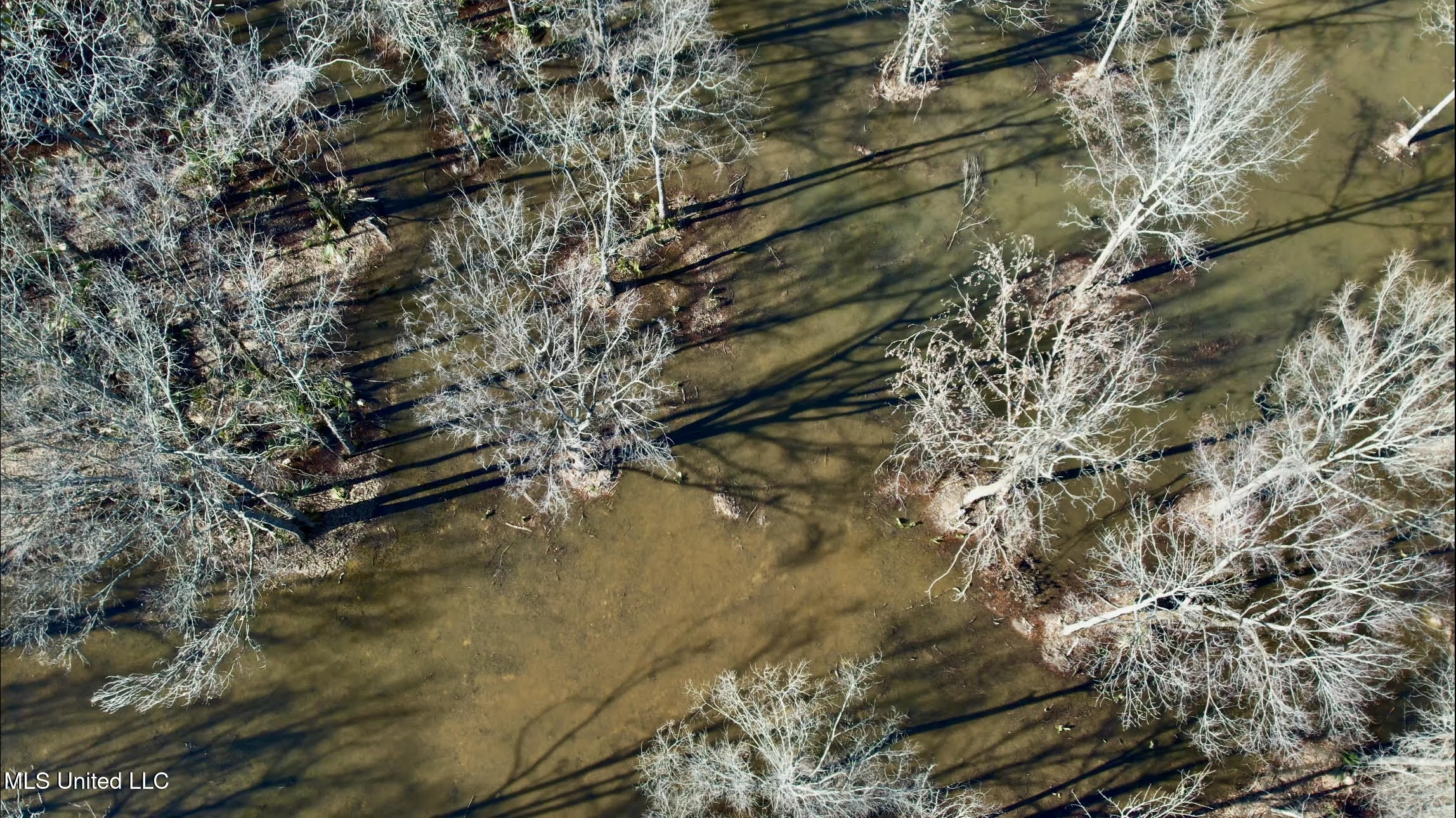 12 Highway 12 Belzoni, MS 39038 - Photo 7 of 31 p23