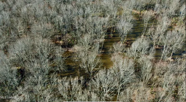 $185,000 | 12 Highway 12, Belzoni, MS 39038