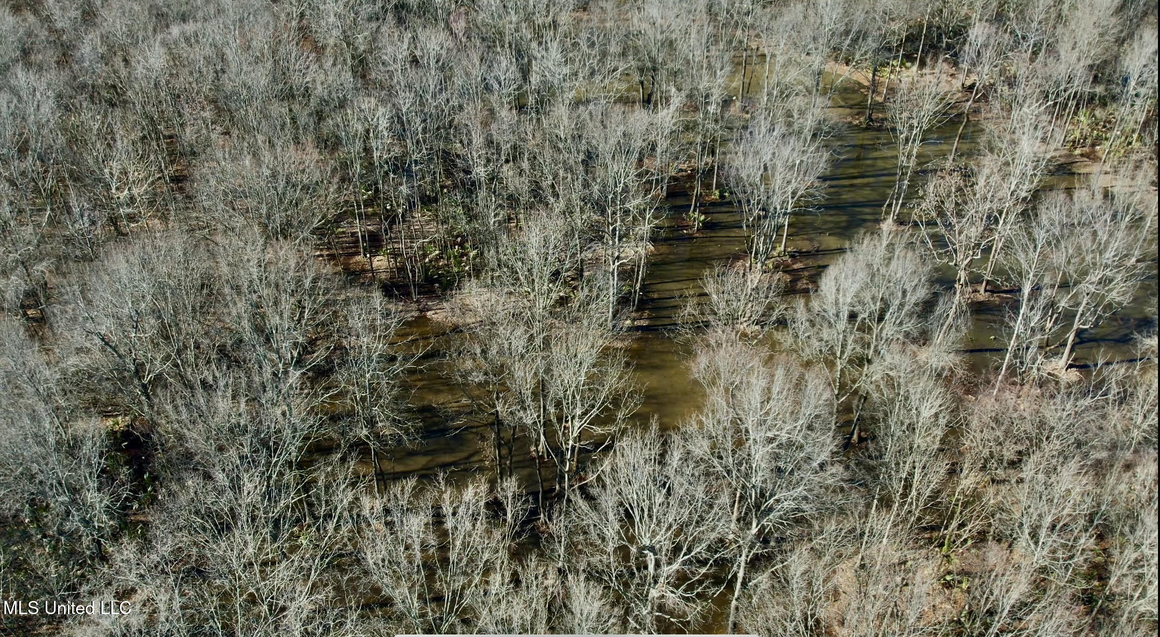 12 Highway 12 Belzoni, MS 39038 - Photo 8 of 31 p24