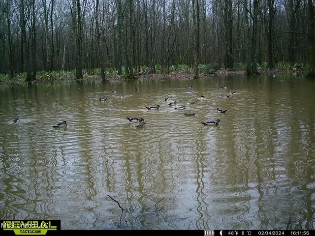 $185,000 | 12 Highway 12, Belzoni, MS 39038