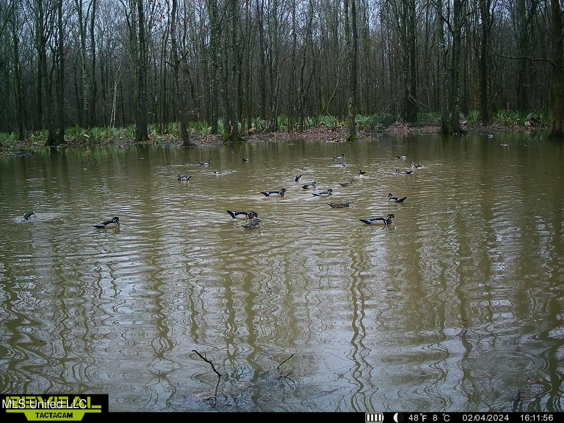 12 Highway 12 Belzoni, MS 39038 - Photo 9 of 31 p25