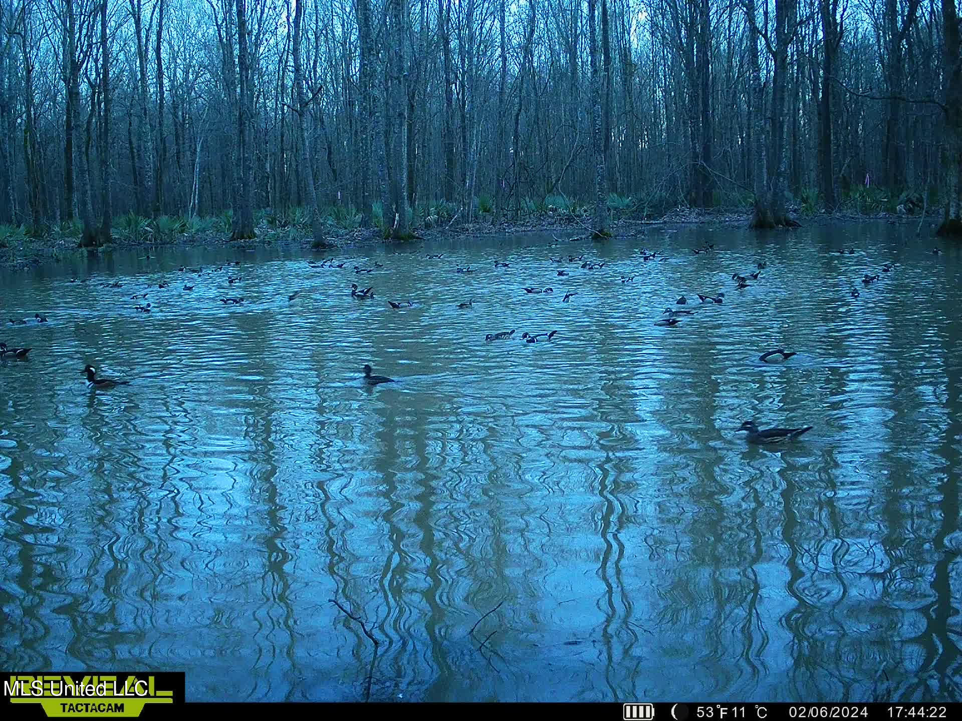 12 Highway 12 Belzoni, MS 39038 - Photo 10 of 31 p27