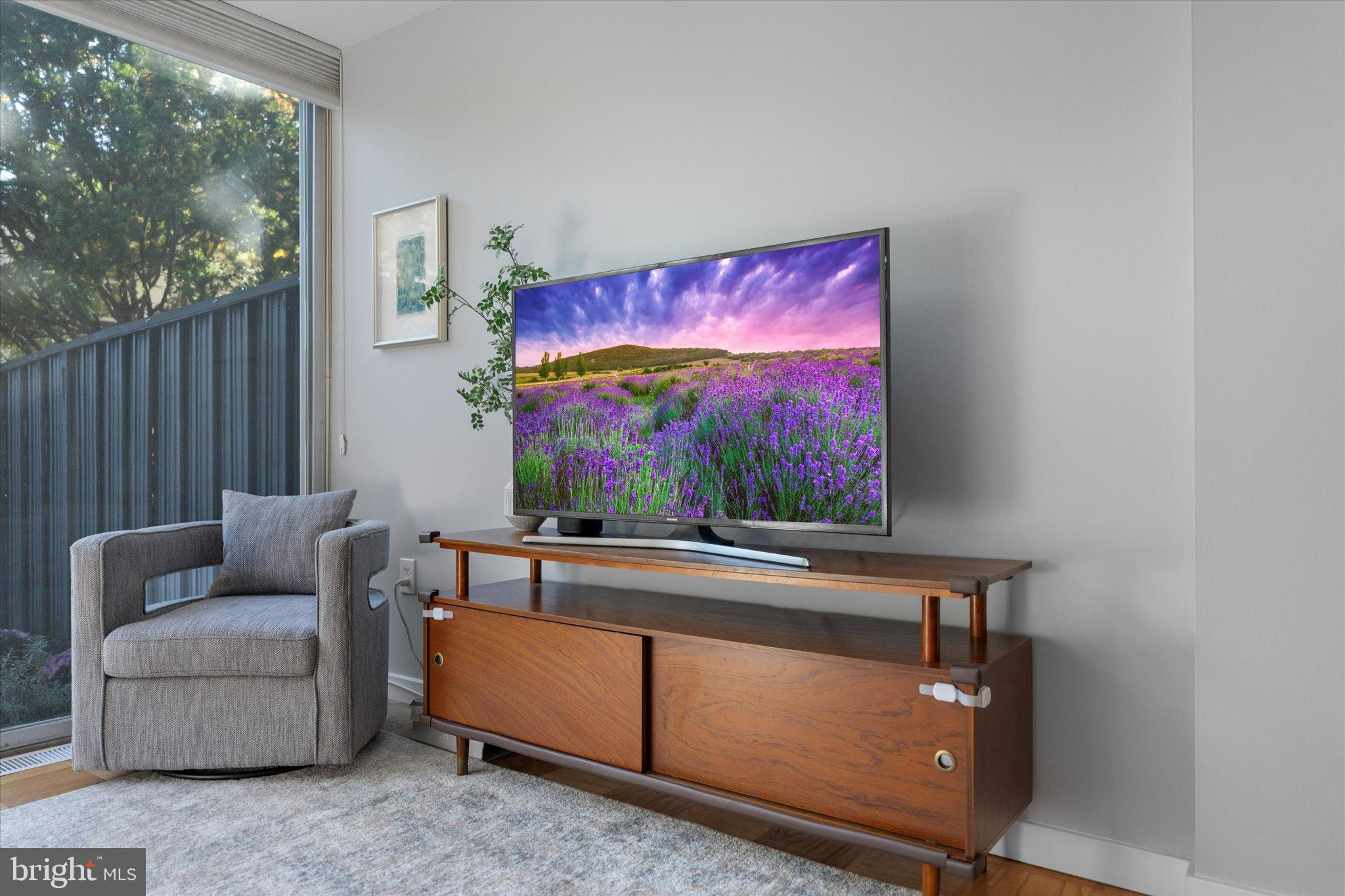 1378 4th Street Southwest Washington, DC 20024 - Photo 21 of 74 a living room with furniture and a flat screen tv