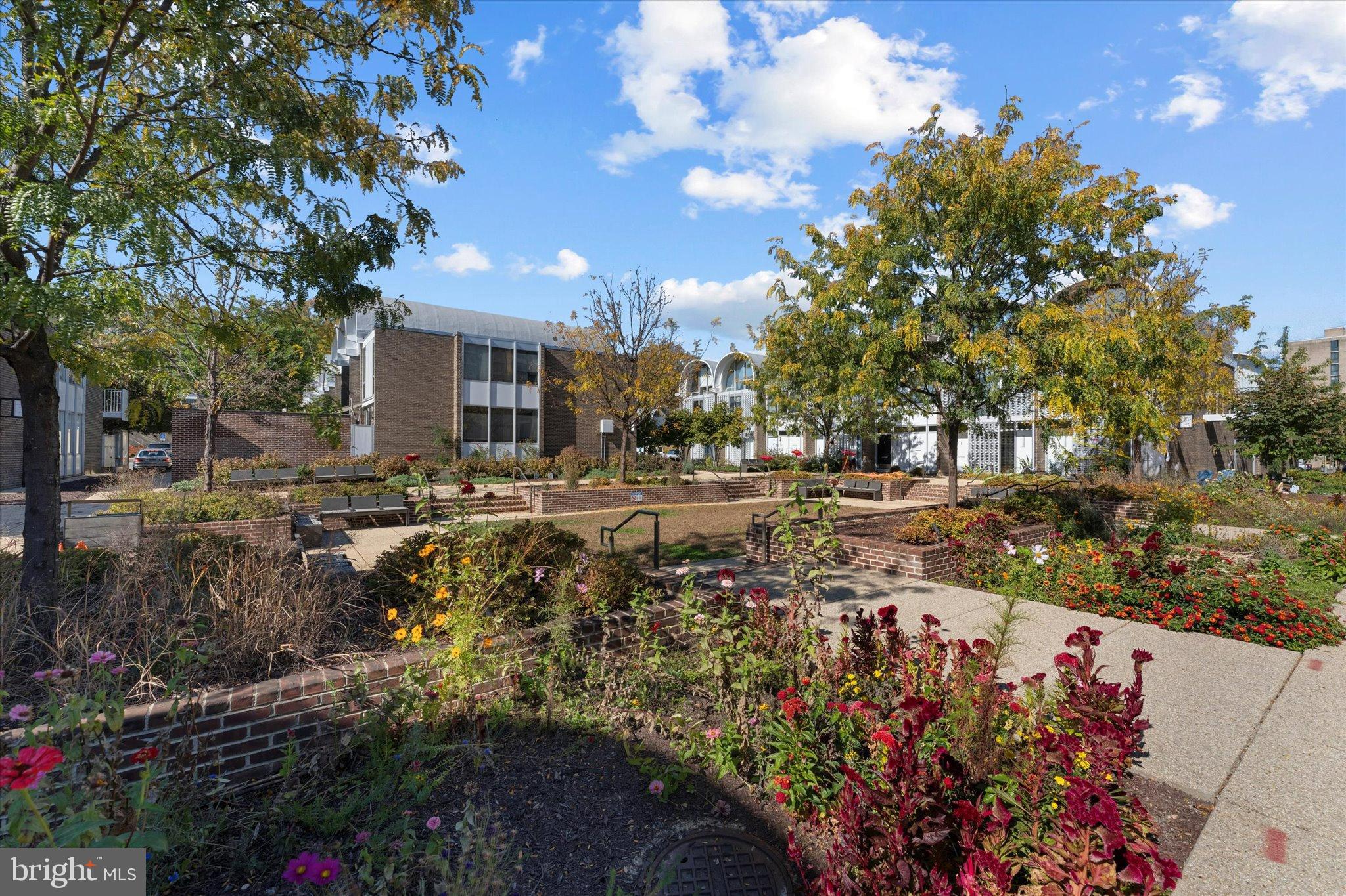 1378 4th Street Southwest Washington, DC 20024 - Photo 40 of 74 a view of a yard with plants