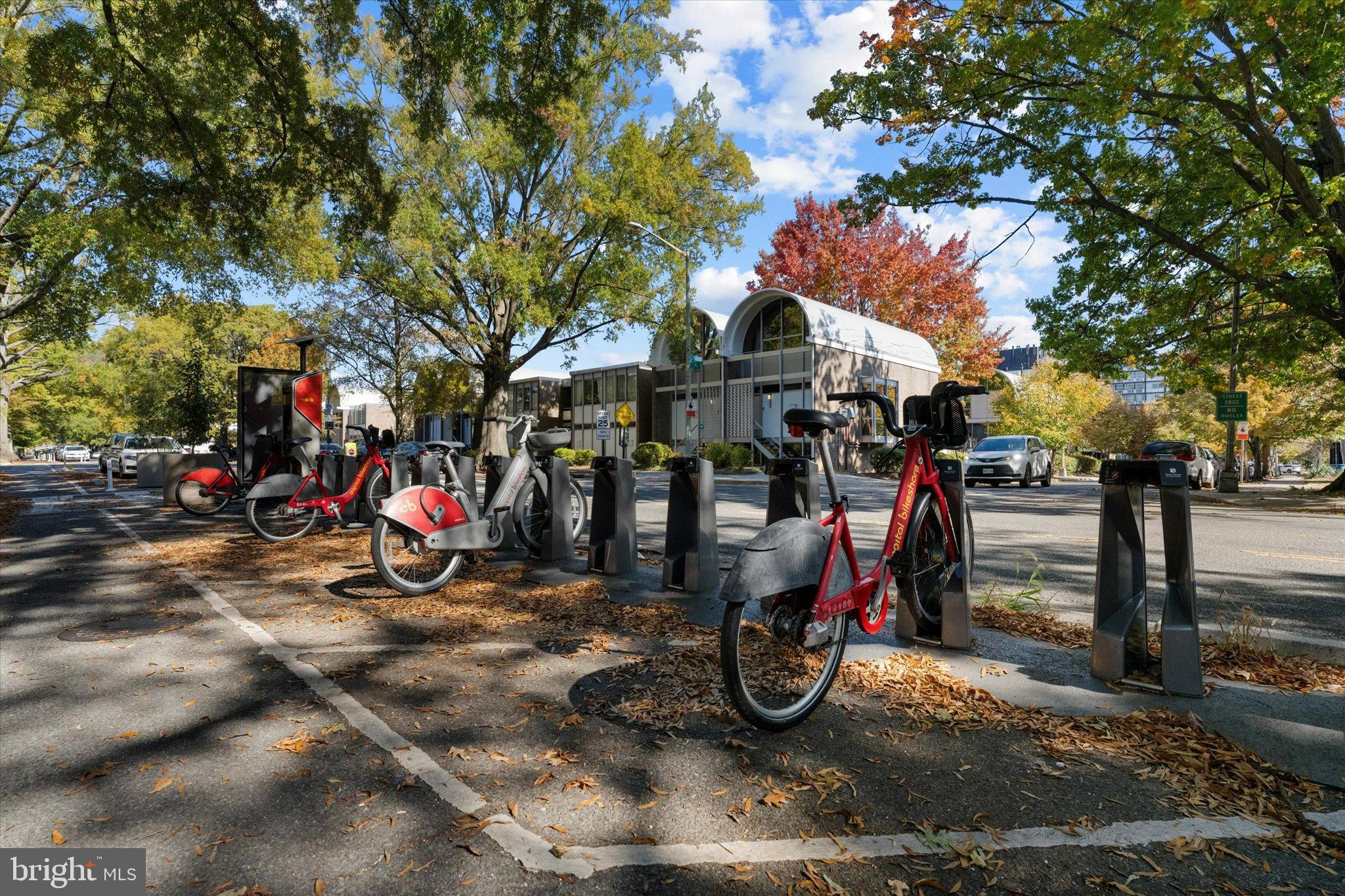 1378 4th Street Southwest Washington, DC 20024 - Photo 49 of 74 Bikes lined up under vibrant autumn trees.