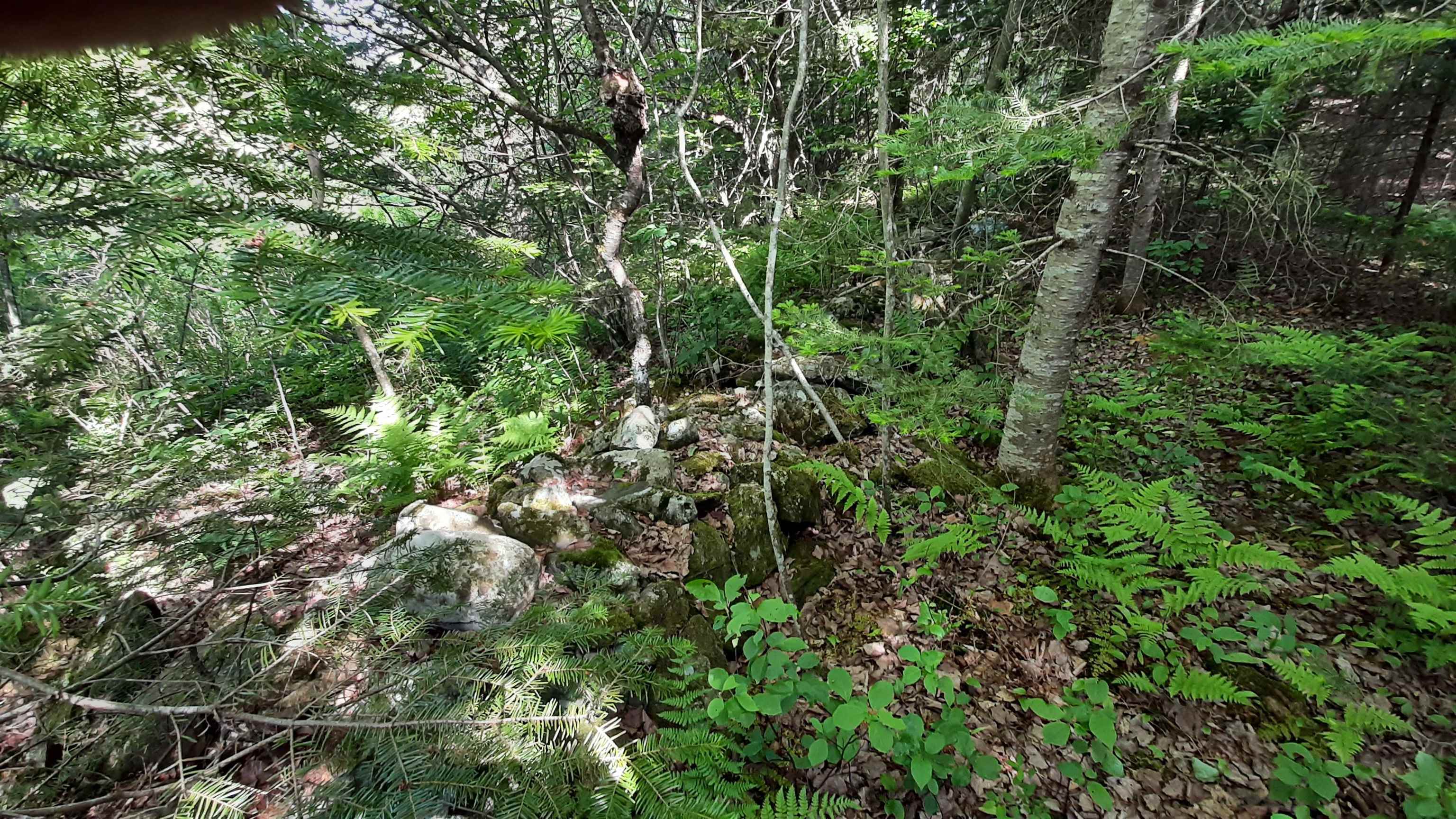 0 Summit Road Mount Holly, VT 05758 - Photo 16 of 37