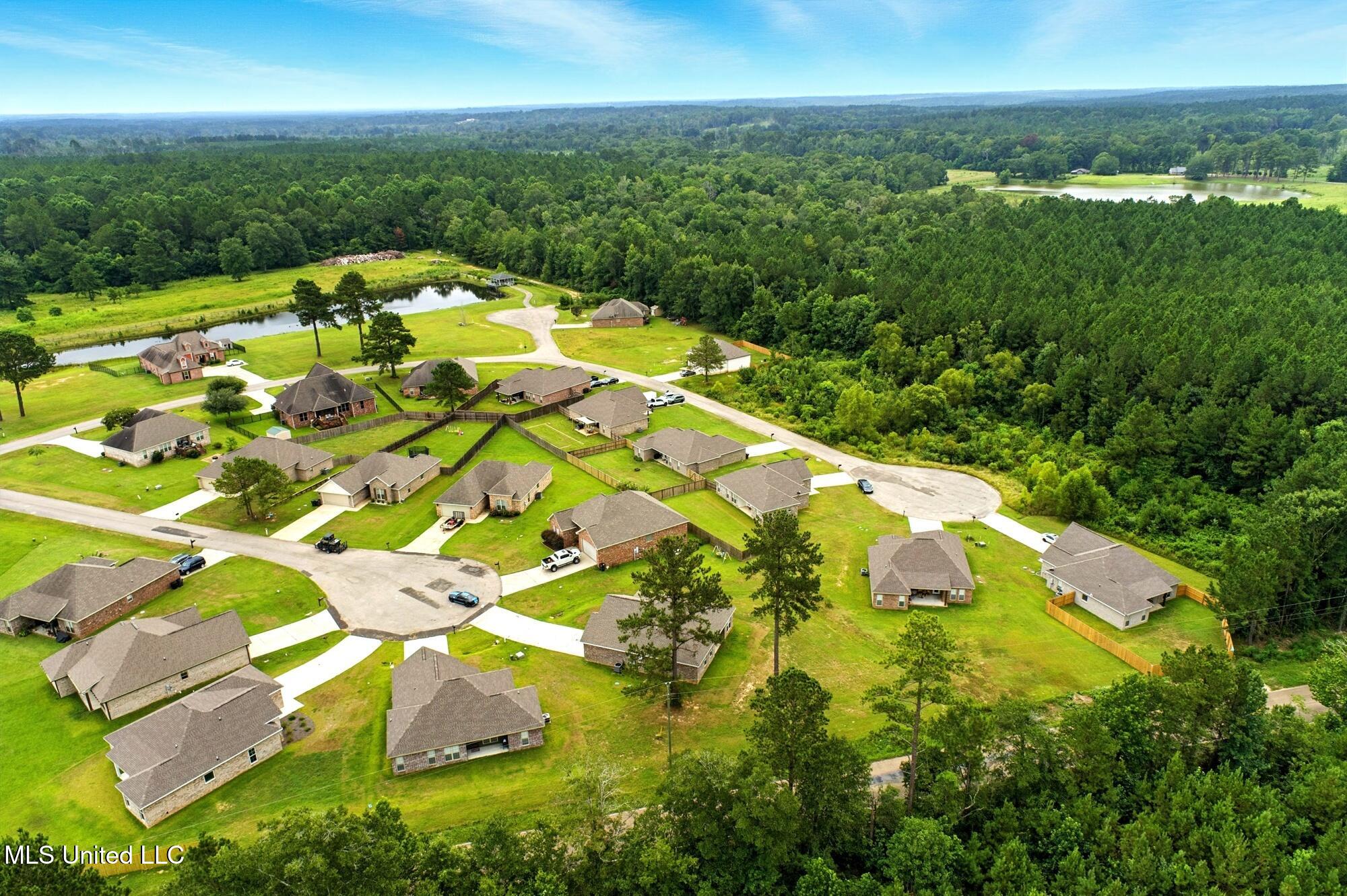 21 Charbonneau Sumrall, MS 39482 - Photo 33 of 38 dji_0008