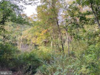 Lot #8 Amity Road Duncannon, PA 17020 - Photo 1 of 1 Gallery Image 1