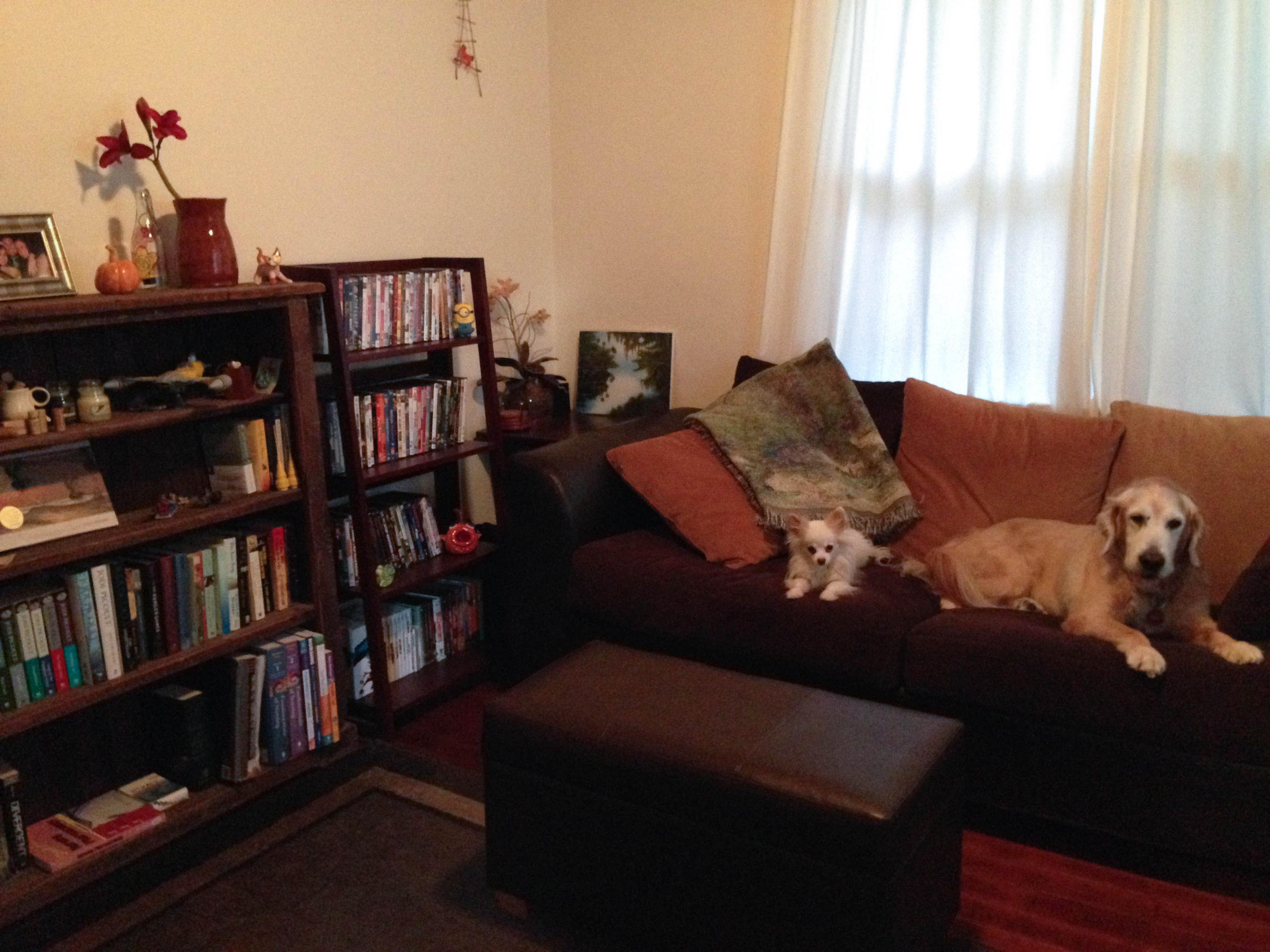 415 Plymouth Road West Palm Beach, FL 33405 - Photo 31 of 47 Cottage Living Room