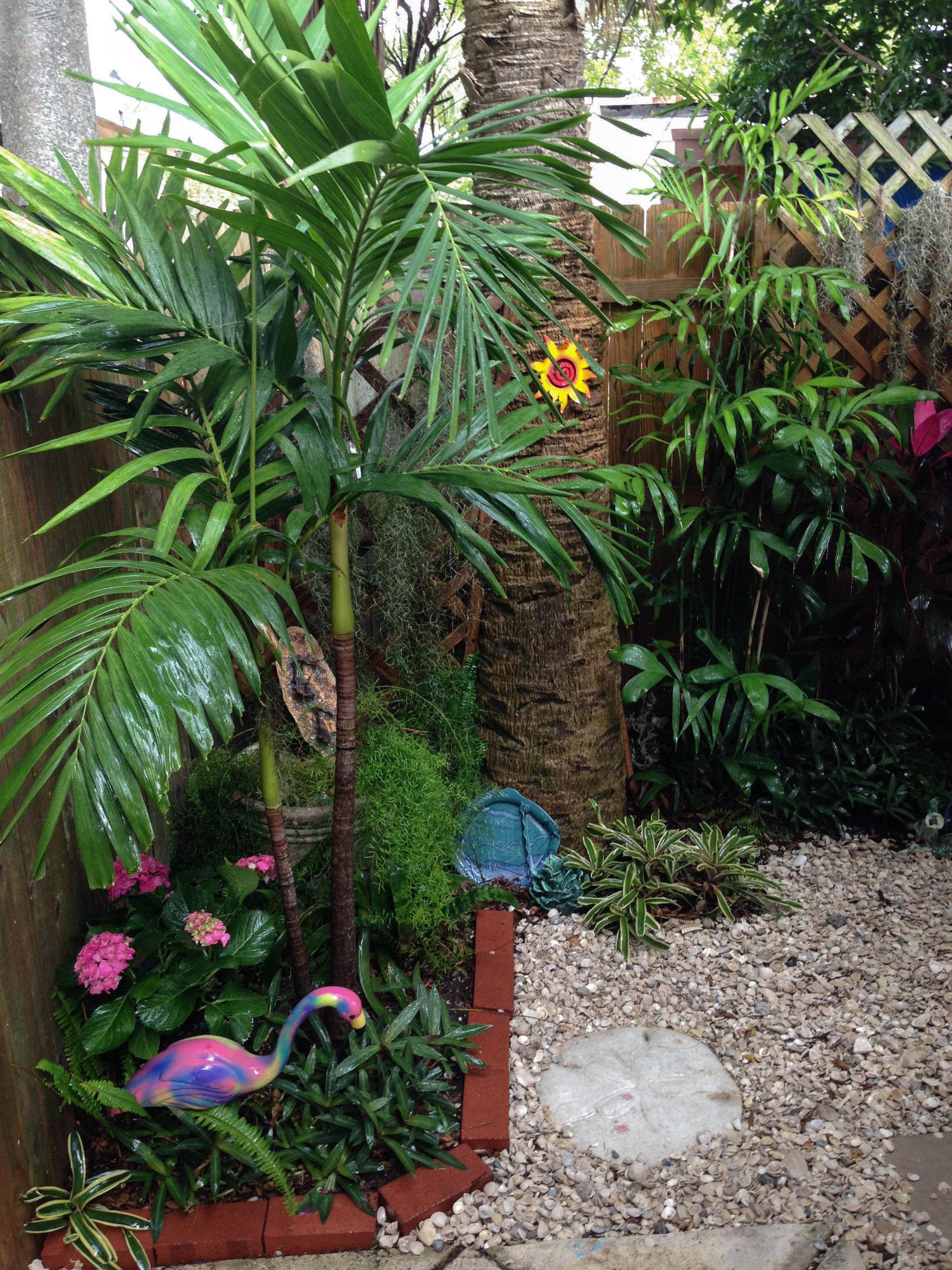 415 Plymouth Road West Palm Beach, FL 33405 - Photo 39 of 47 By Studio side entrance