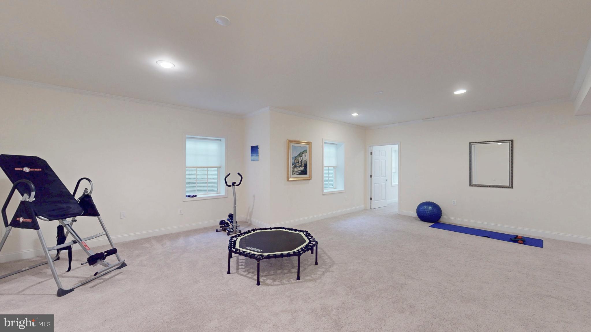 9813 Sunrise Road Vienna, VA 22181 - Photo 76 of 118 Gallery Image 76