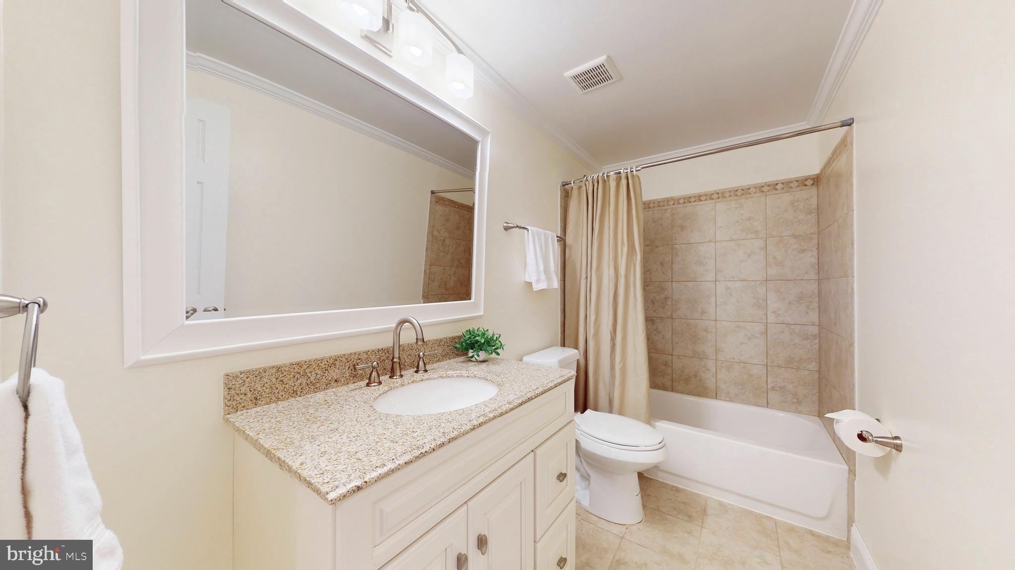 9813 Sunrise Road Vienna, VA 22181 - Photo 81 of 118 Full Bath on Lower Level
