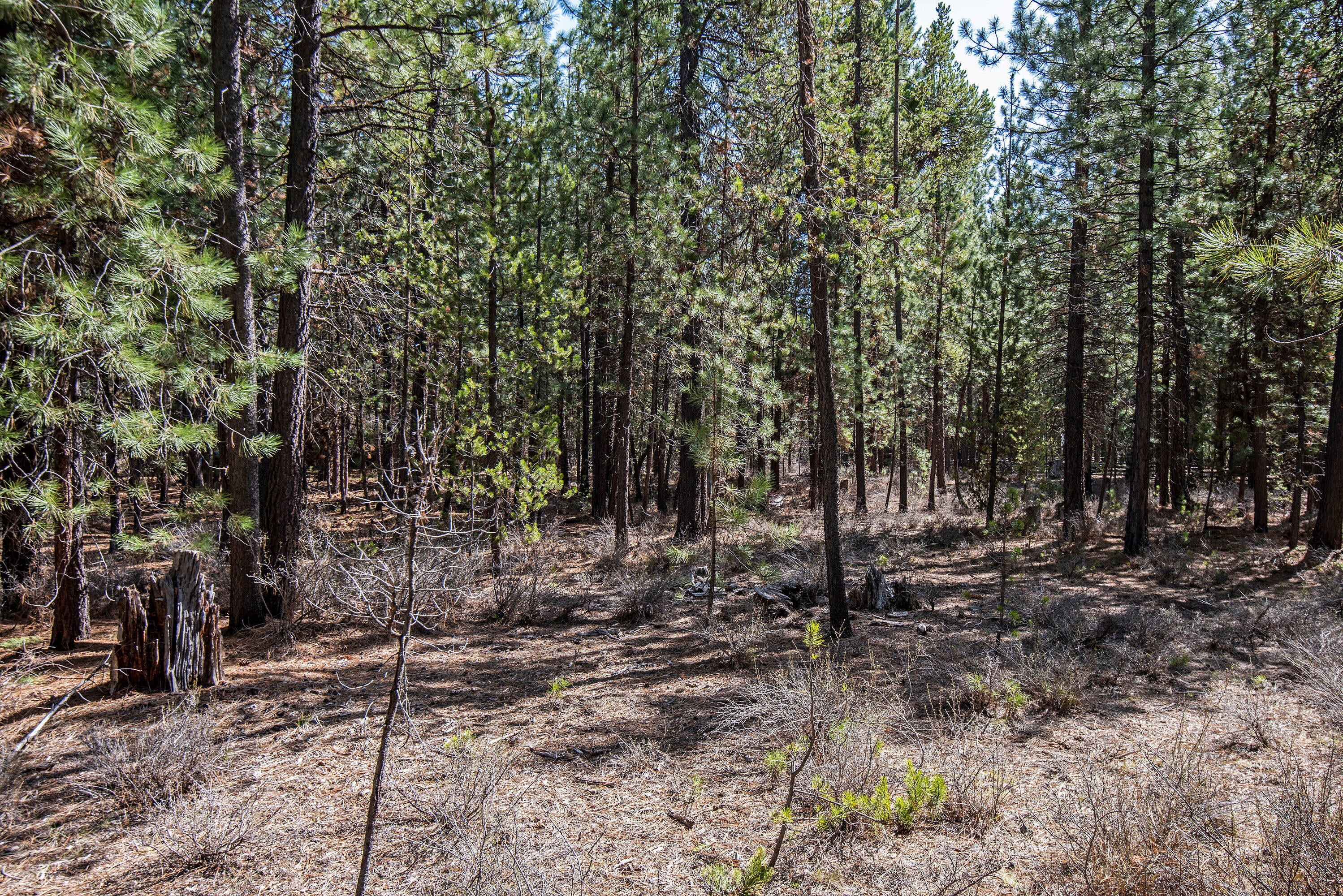 56748 Spring River Loop Bend, OR 97707 - Photo 4 of 17 02