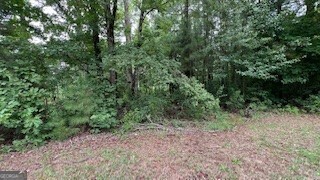 1114 East Shoreview Road McDonough, GA 30253 - Photo 2 of 7