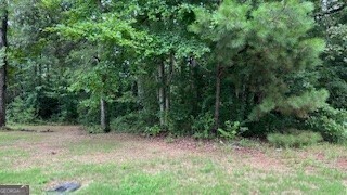 1114 East Shoreview Road McDonough, GA 30253 - Photo 3 of 7