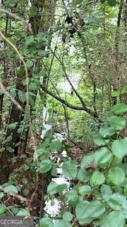 a view of a lush green forest with lots of trees