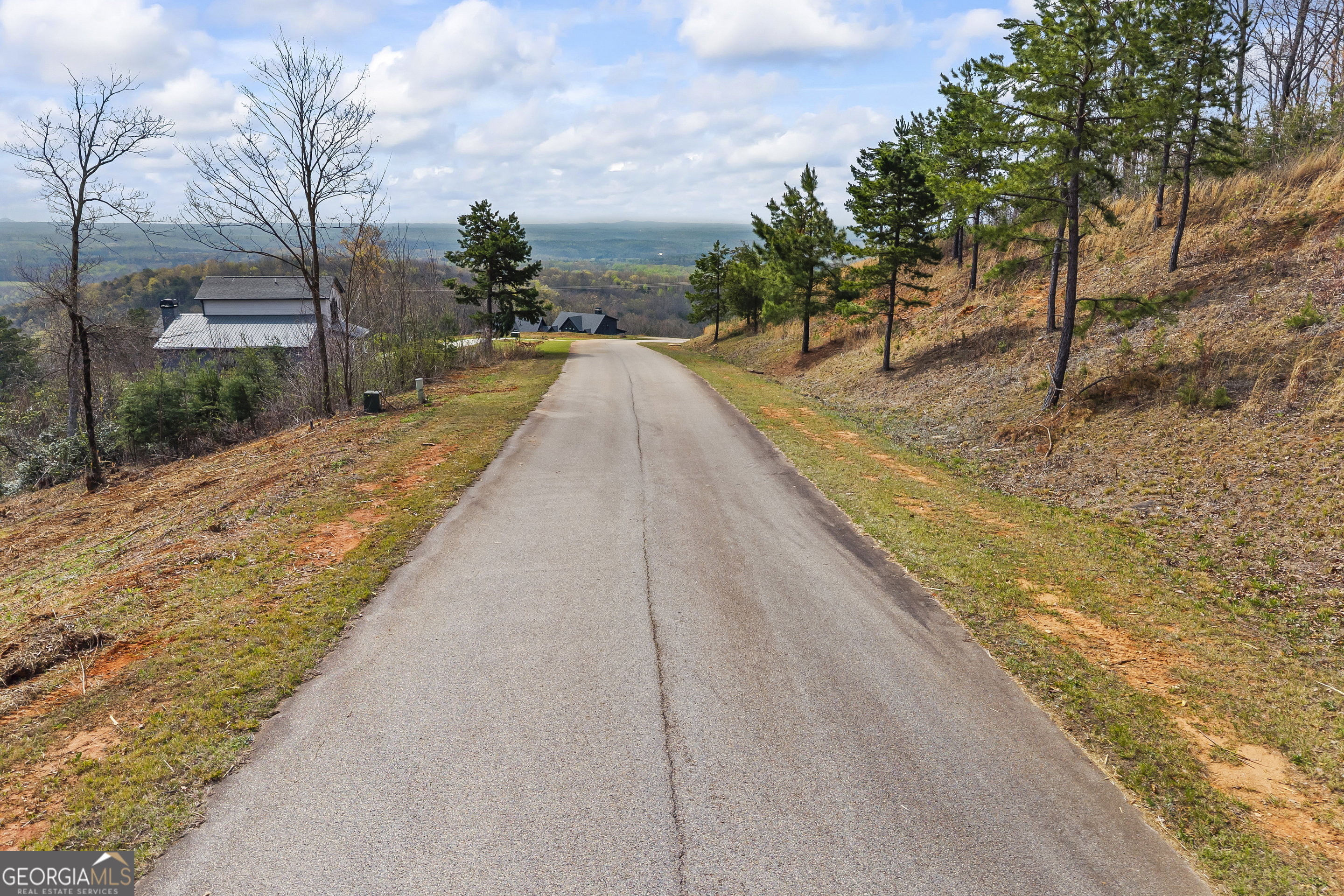 Lot 36 Mountain Ridge Drive Clarkesville, GA 30523 - Photo 15 of 53