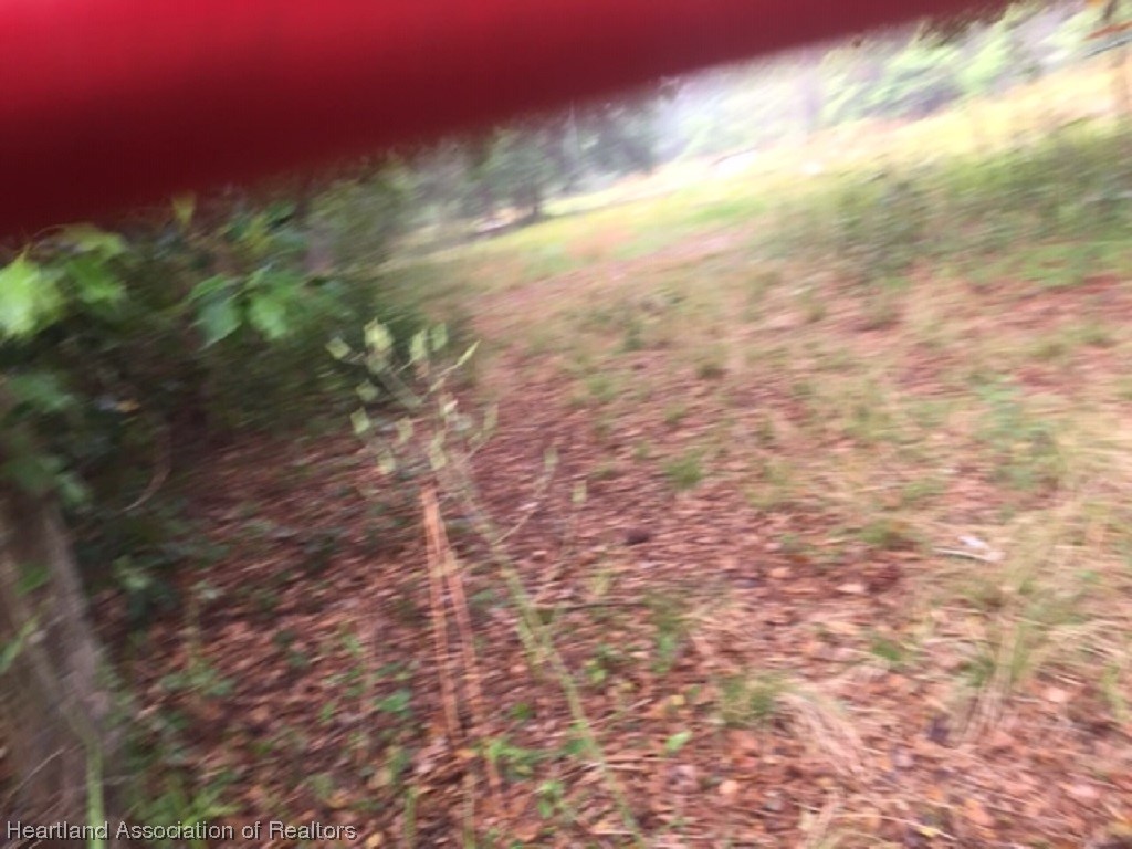 3205 West Exeter Road Avon Park, FL 33825 - Photo 5 of 9 Gallery Image 5