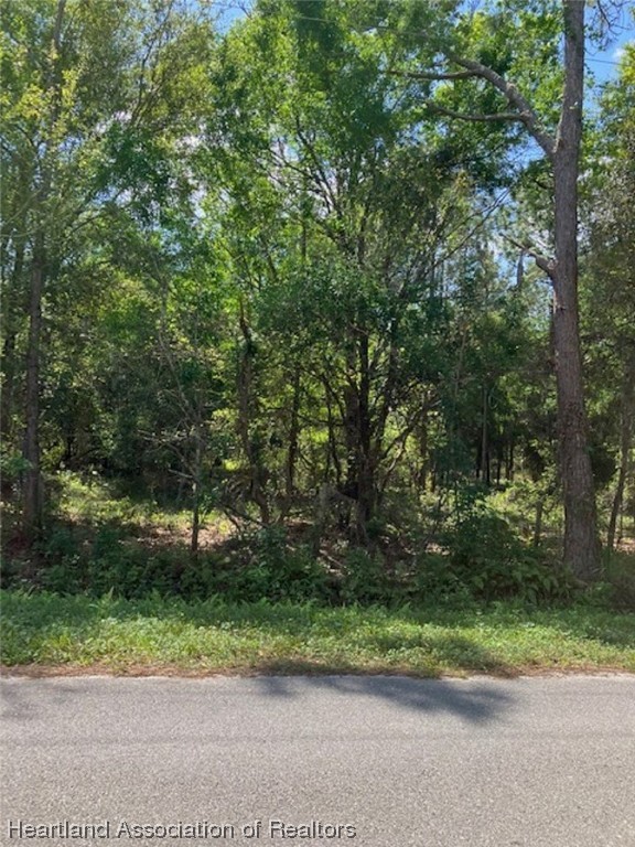 3205 West Exeter Road Avon Park, FL 33825 - Photo 8 of 9 Gallery Image 8