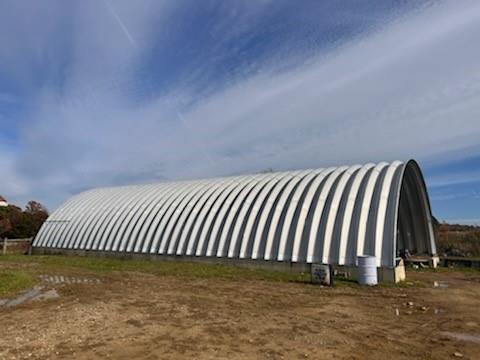 13170 Highway 36 Punxsutawney, PA 15767 - Photo 15 of 37 a close up of a plant