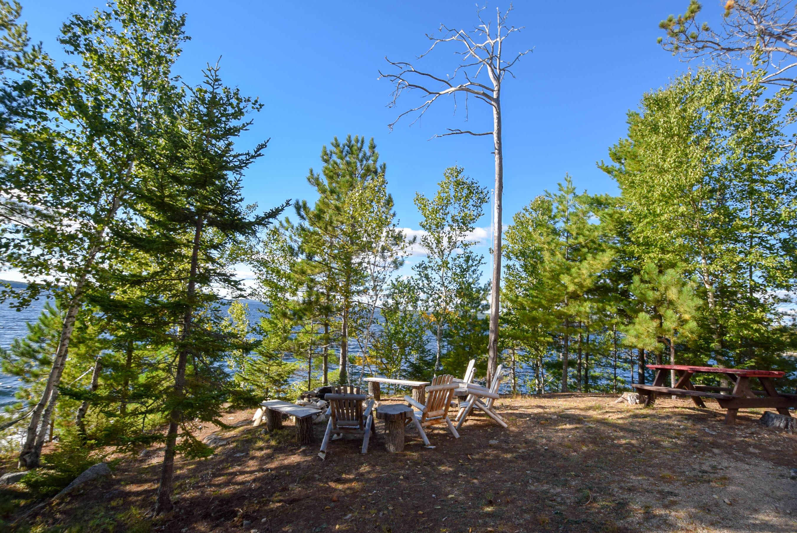 766 Bonney Brook Road Princeton, ME 04668 - Photo 51 of 72 Front yard lakefront...