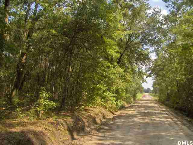 1540 Sinclair Road Early Branch, SC 29916 - Photo 2 of 5 Additional Photo