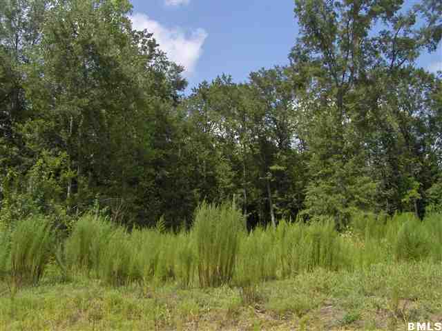 1540 Sinclair Road Early Branch, SC 29916 - Photo 3 of 5 Additional Photo