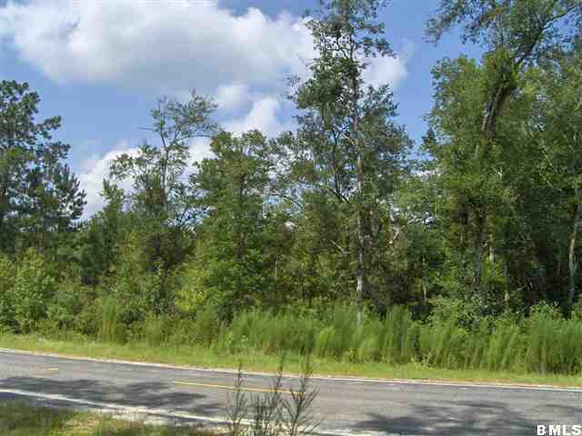 1540 Sinclair Road Early Branch, SC 29916 - Photo 4 of 5 Additional Photo