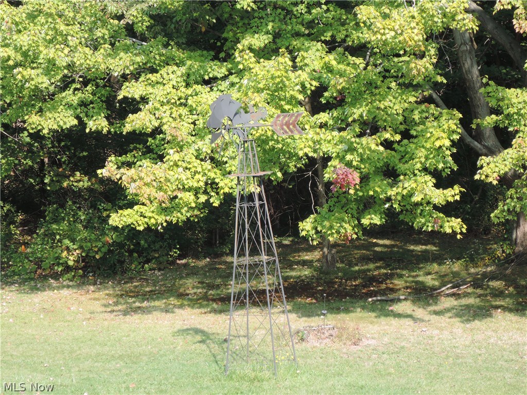 8002 Mulberry Road Chesterland, OH 44026 - Photo 12 of 18 This wind mills stay.