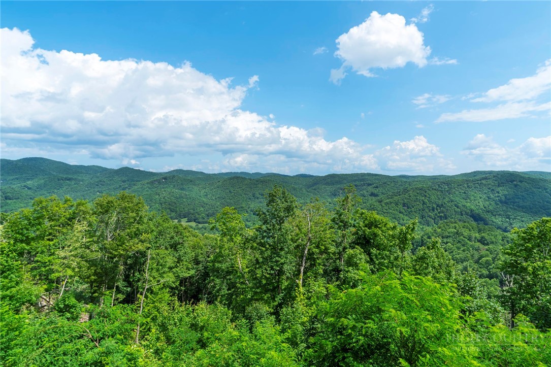 170 Profile Point, Unit S314 Boone, NC 28607 - Photo 18 of 41