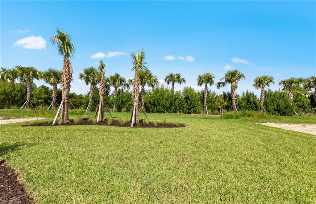 15707 Northridge Road Punta Gorda, FL 33982 - Photo 19 of 21 a view of a park with palm trees