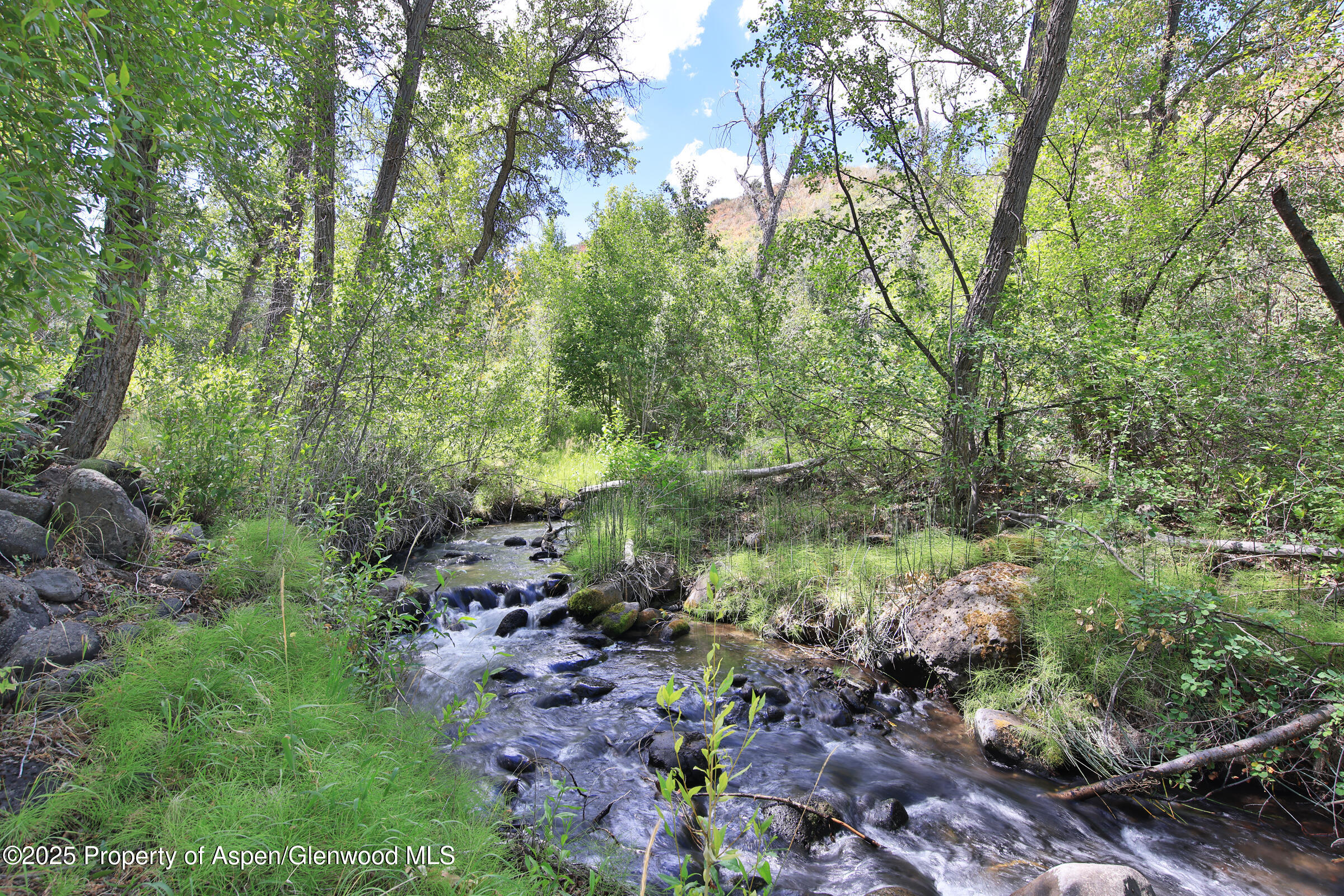 9681 54 7/10 Road Molina, CO 81646 - Photo 32 of 39 a view of a forest with trees