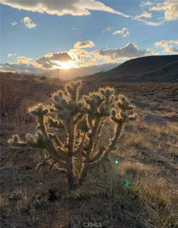 a view of a dry yard with mountains and green space