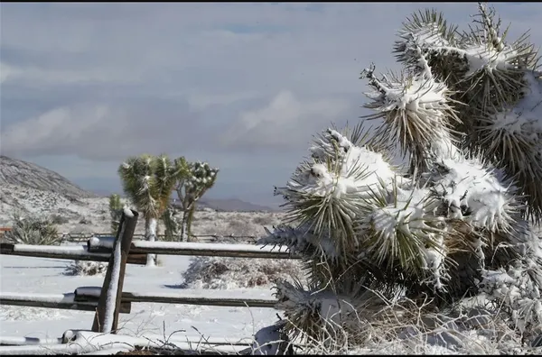 $725,000 | 0 E Drive, Pioneertown, CA 92268