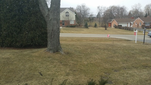 79 Roberts Road Inverness, IL 60067 - Photo 18 of 20